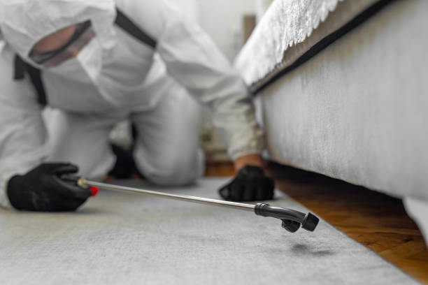 Professional Termite Control technician working in Horace, ND