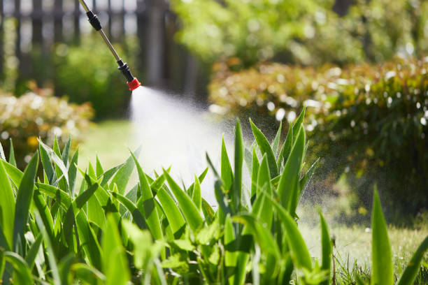 24/7 Emergency Termite Control experts in Horace, ND